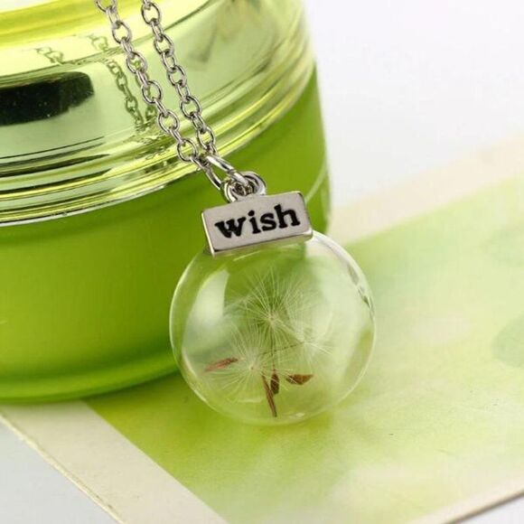 5/$25 Wish Bottle Real Dandelion Seeds Necklace - Picture 6 of 15